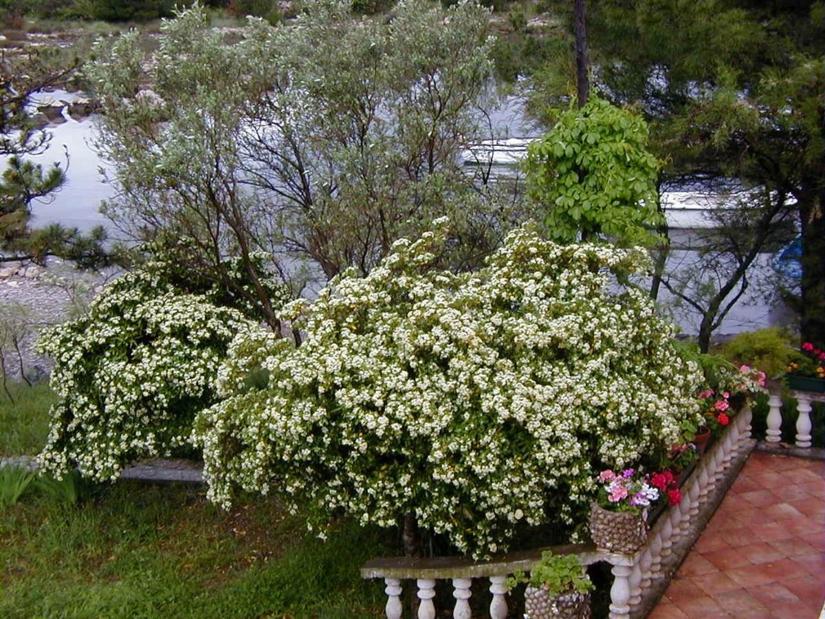 Villa Jaz Селине Экстерьер фото